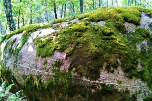 Экскурсия в Каменное село